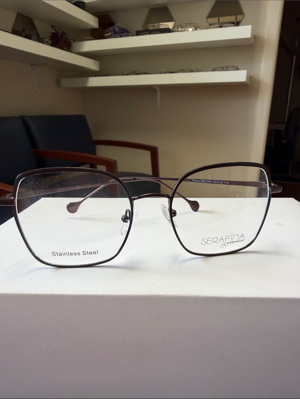 Serafina Stainless Steel Eyeglass Frames in Brown